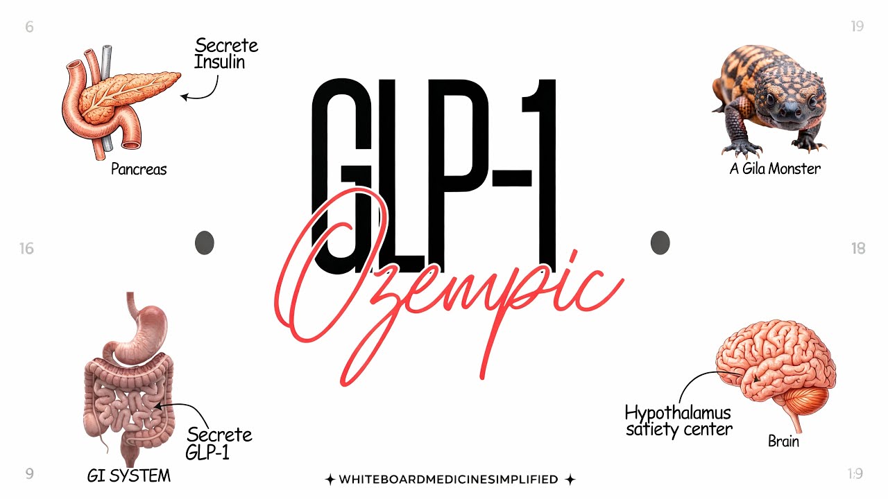 Ozempic (Semaglutide): How GLP-1 Drugs Control Diabetes & Weight