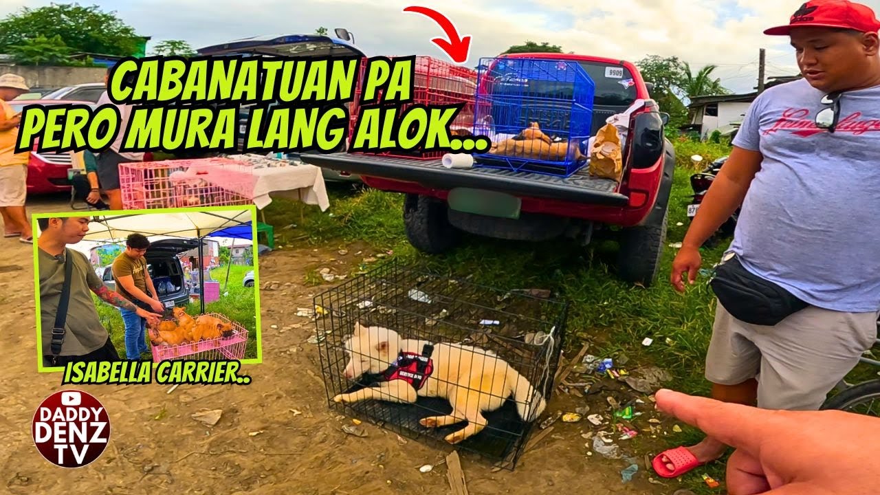 TIYEMPO SA DIREKTANG BREEDER.. /  PT.2 DEC. 19 @BOCAUE PETS & LIVESTOCK MARKET