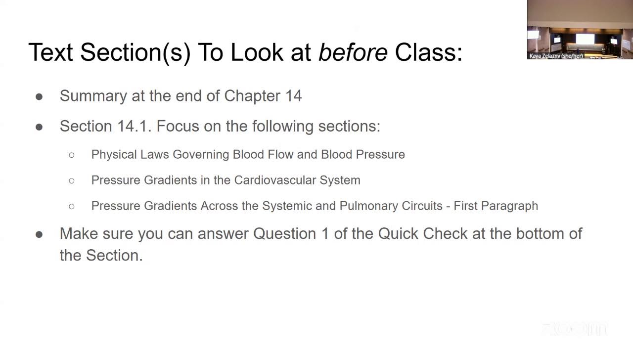 A&P Lecture