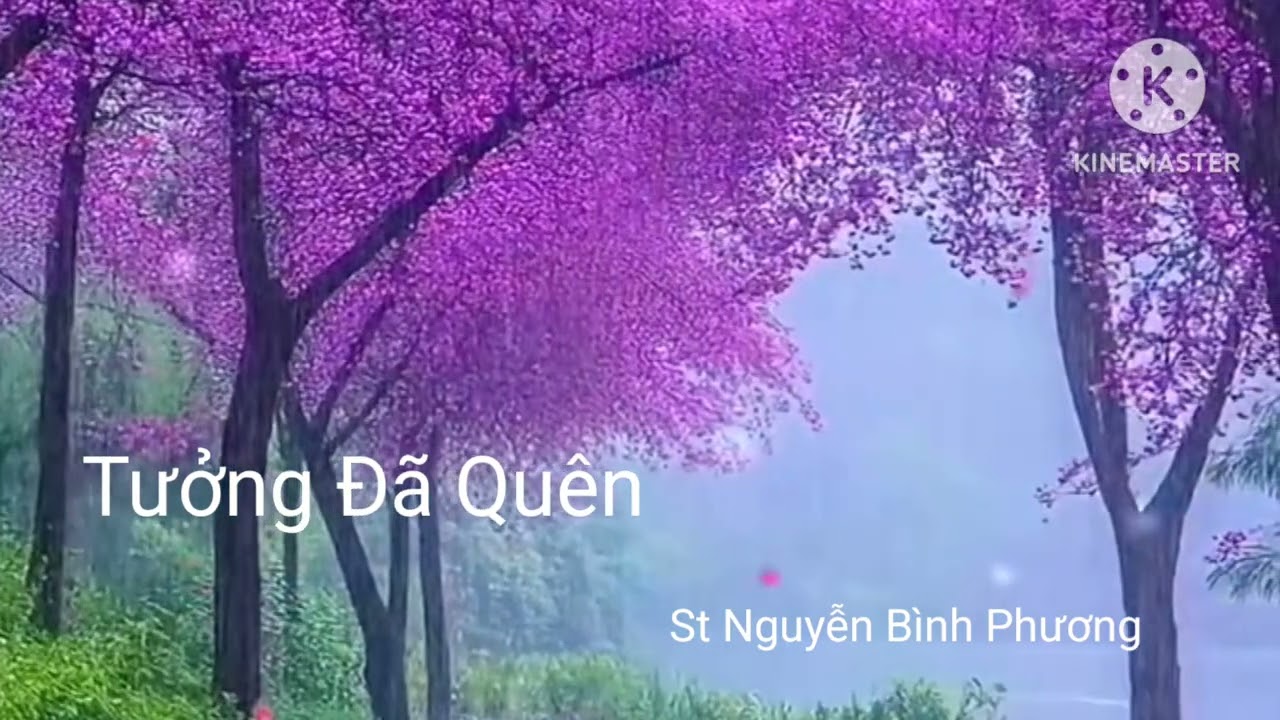 Tưởng Đã Quên – Nguyễn Bình Phương | Tình Khúc Mới Chạm Đến Trái Tim | Official Audio