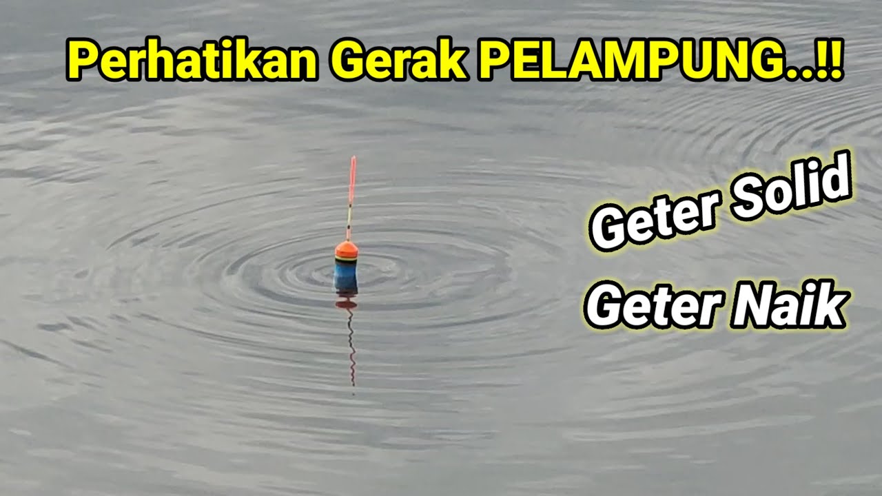 MELIHAT GETARAN PELAMPUNG BARONANG.. Jangan Sampai Lambat Gentak ..!!