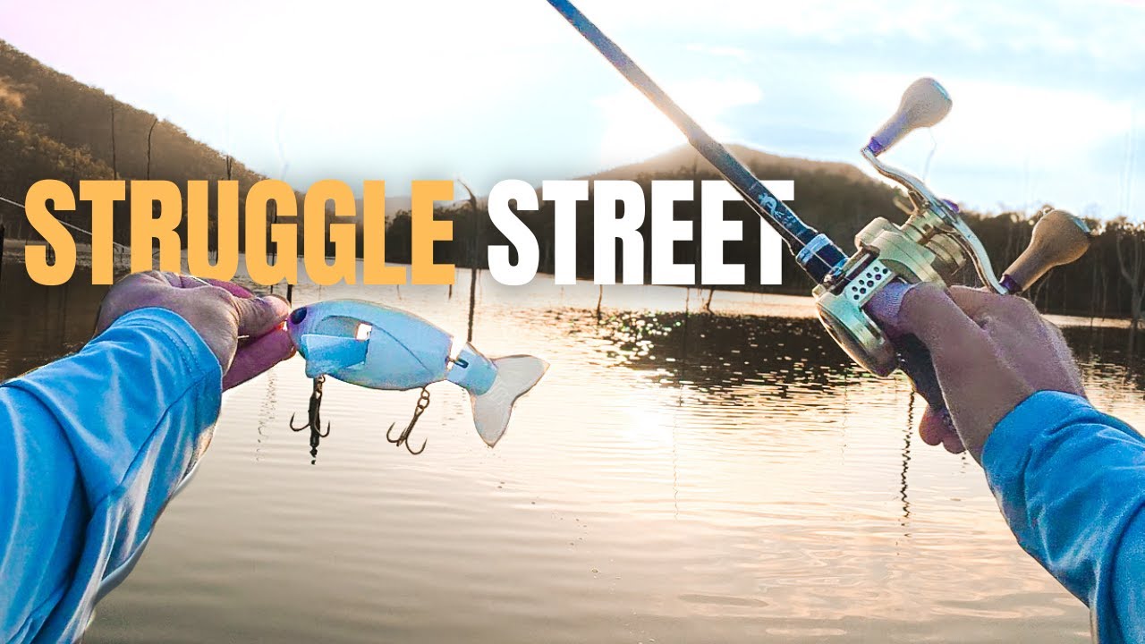 The Harsh Reality of Swimbait Saratoga