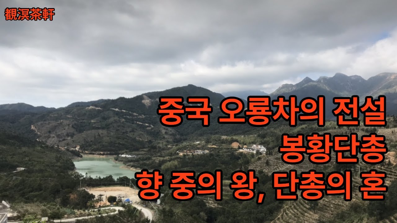 중국 남방 오룡차의 전설 봉황단총, 향중의 왕, 단총의 혼