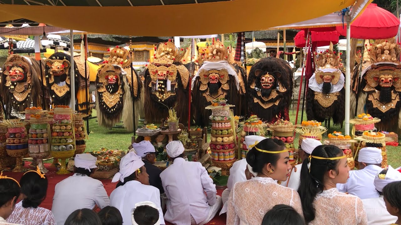 Amunduk Taro Puluhan Barong Berkumpul Di Puakan Part 2. #gianyar #tegalalang #bali