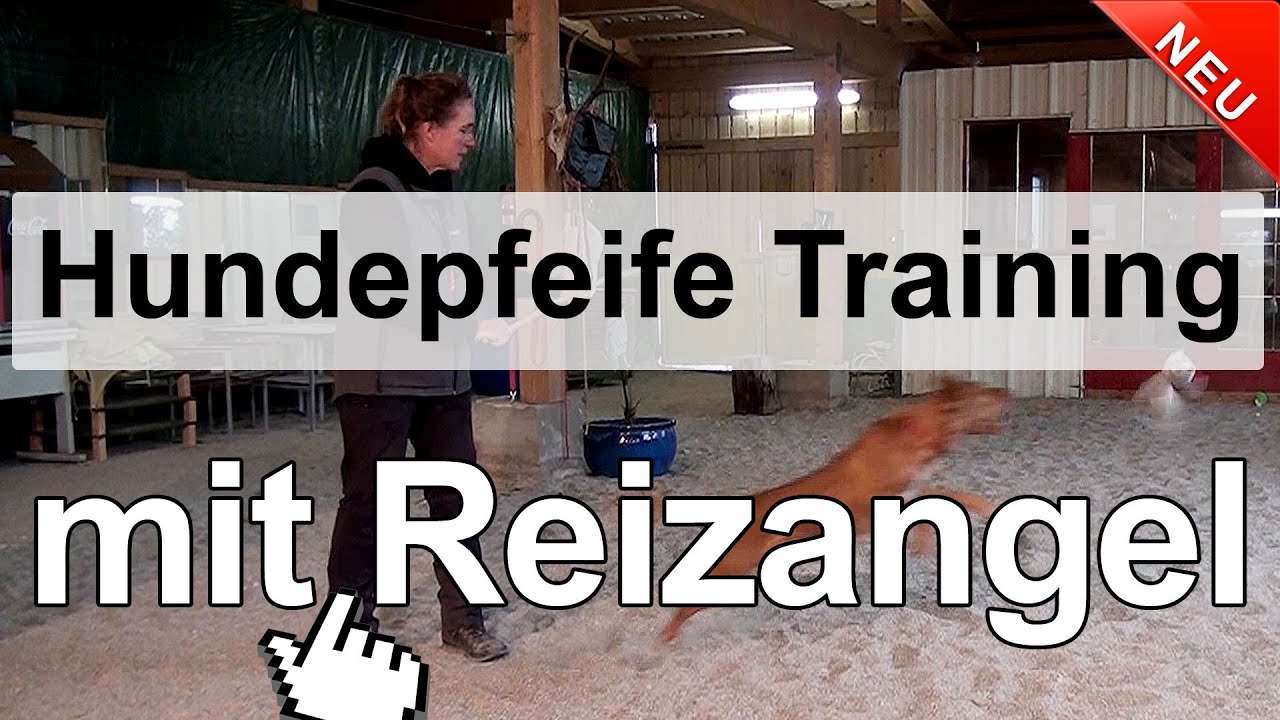 Hundetraining - Hundepfeife Training mit Reizangel