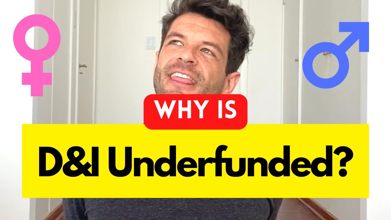 Why is D&I Underfunded?