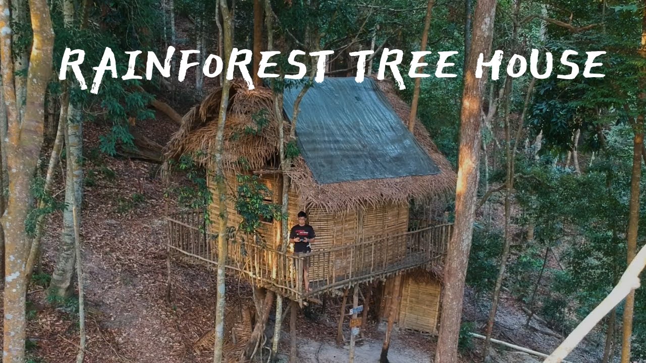 Ecotourism at RAINFOREST TREE HOUSE, KULAI and visit MOUNT PULAI WATERFALL