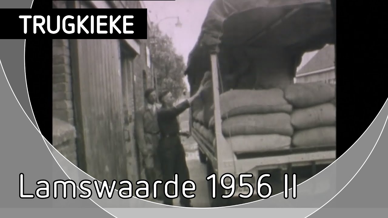 Trugkieke - Lamswaarde 1956 II