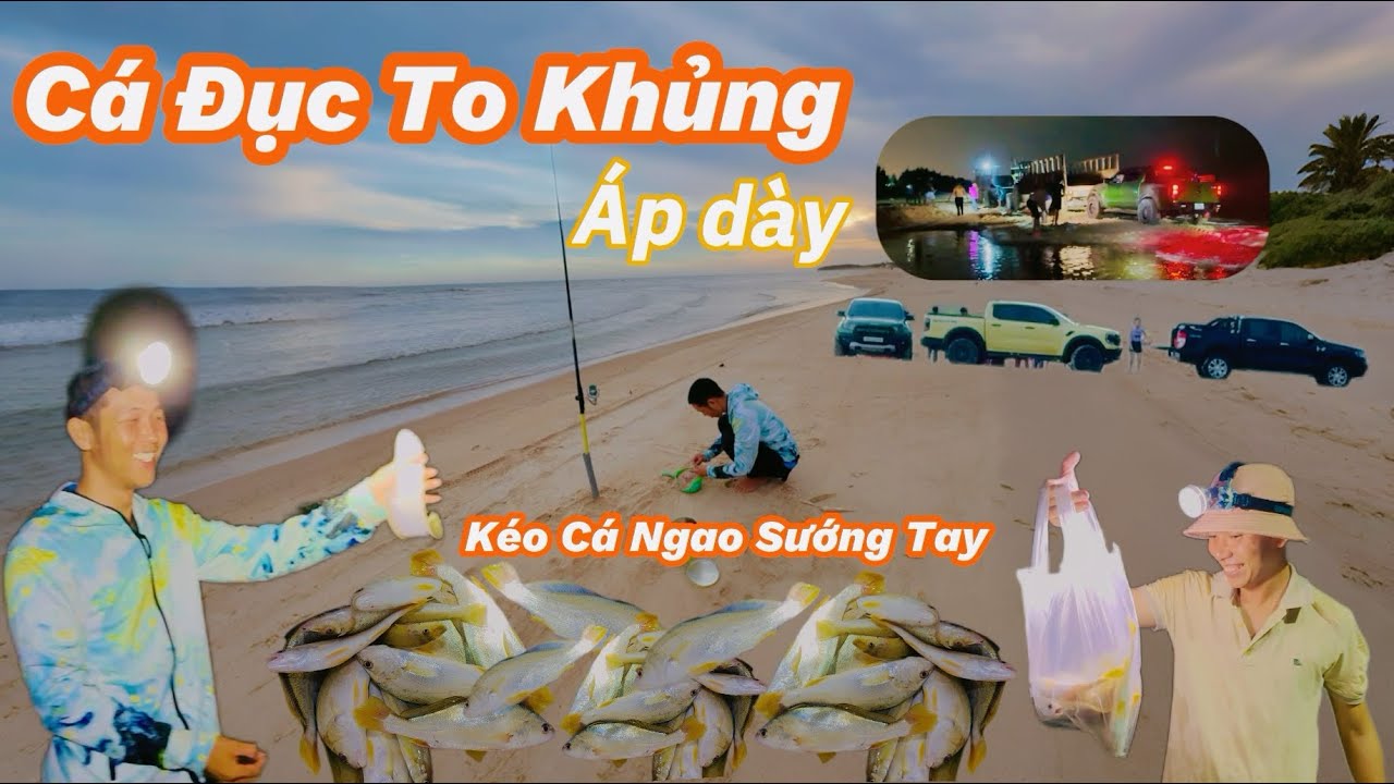 Câu Cá Bống Đục To Kinh Khủng | Cá Ngao Ép Dày Giật Liên Tục Kéo Sướng Tay​⁠!@Longvlog86