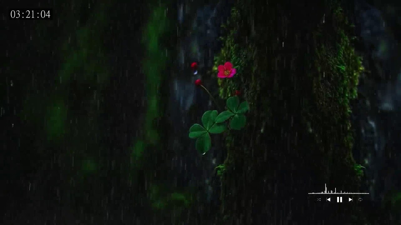 Soothing rain ambience designed to mask noise and promote deeper sleep