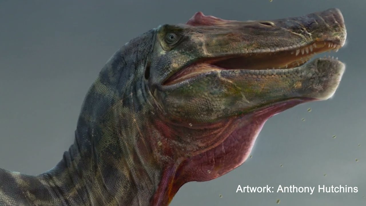 A giant dinosaur from the Isle of Wight