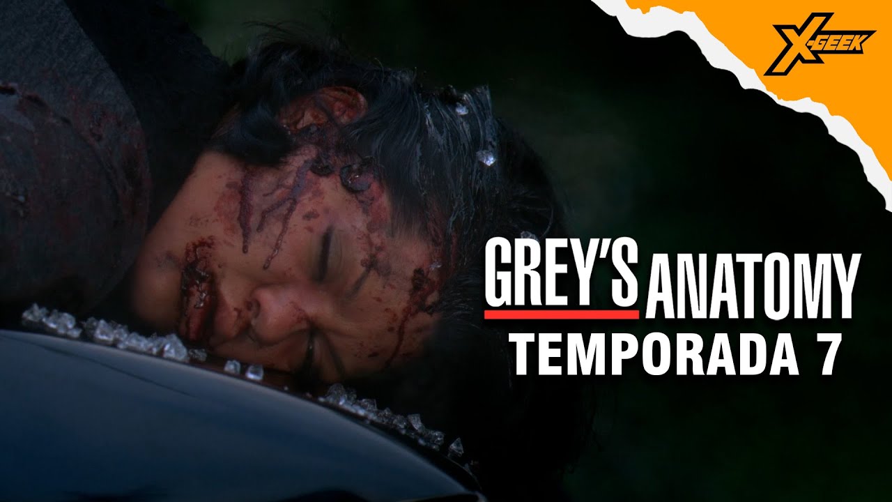 Grey's Anatomy (Temporada 7): Resumen en 1 video
