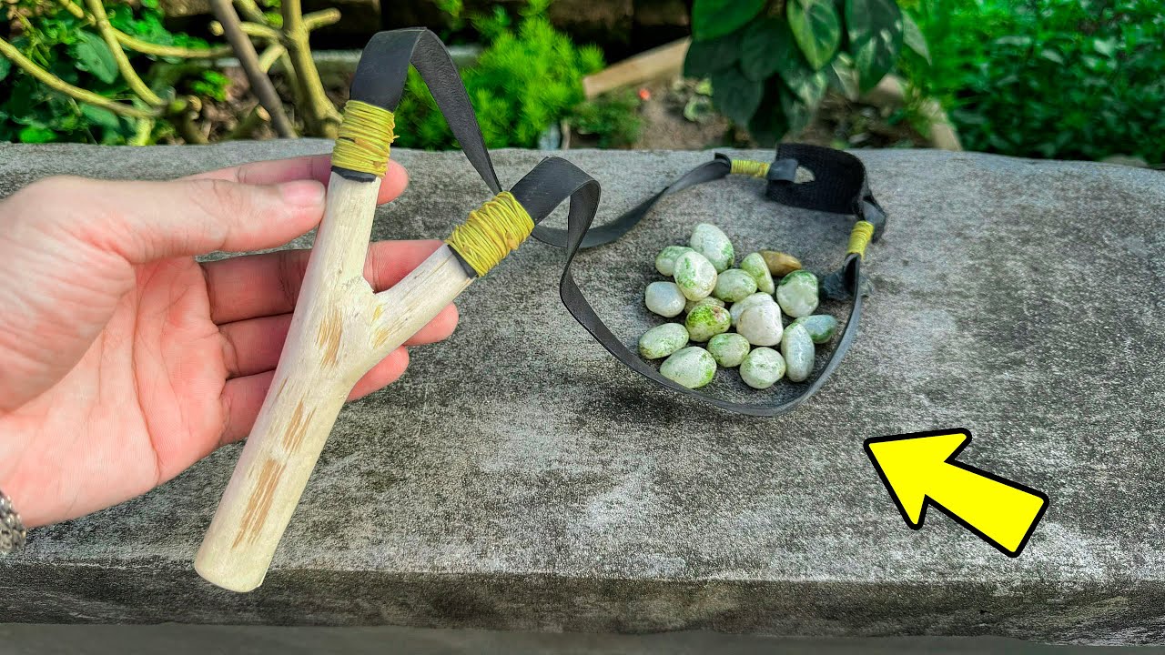 Top 5 Món Đồ Chơi Của Trẻ Em Nông Thôn Vào Mùa Hè