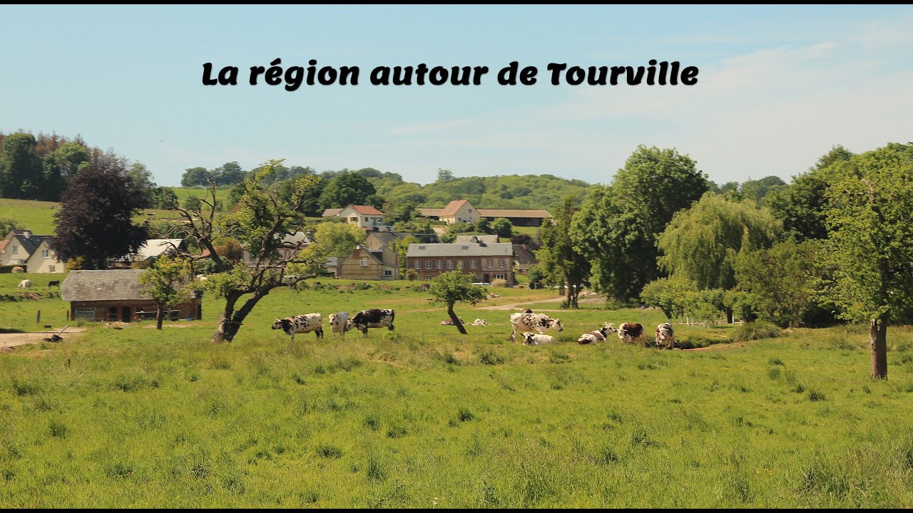 D&eacute;couvrez les environs de Tourville-les-Ifs : Nature, Villages et Tranquillit&eacute; en Normandie