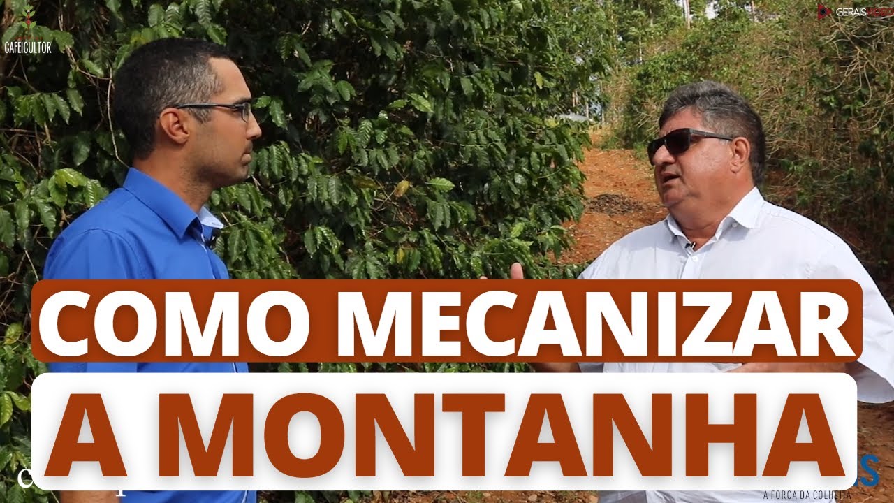 Como mecanizar a colheita de café na montanha #papodecafeicultor