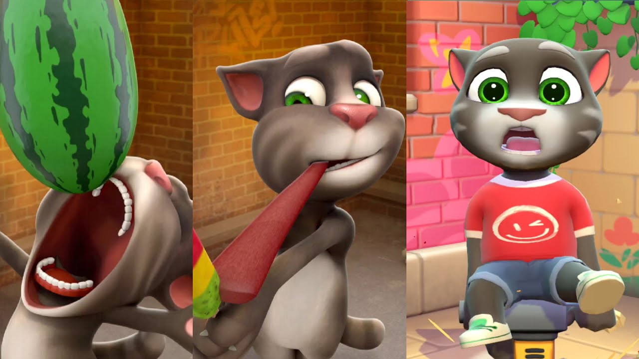 My talking tom live. my talking tom. my talking tom cat. cat live video. live gaming.