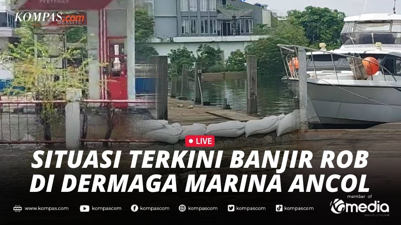 🔴LIVE - Banjir Rob di Dermaga Marina Ancol, Air Laut Lewati Tanggul dan Menggenang di Jalan
