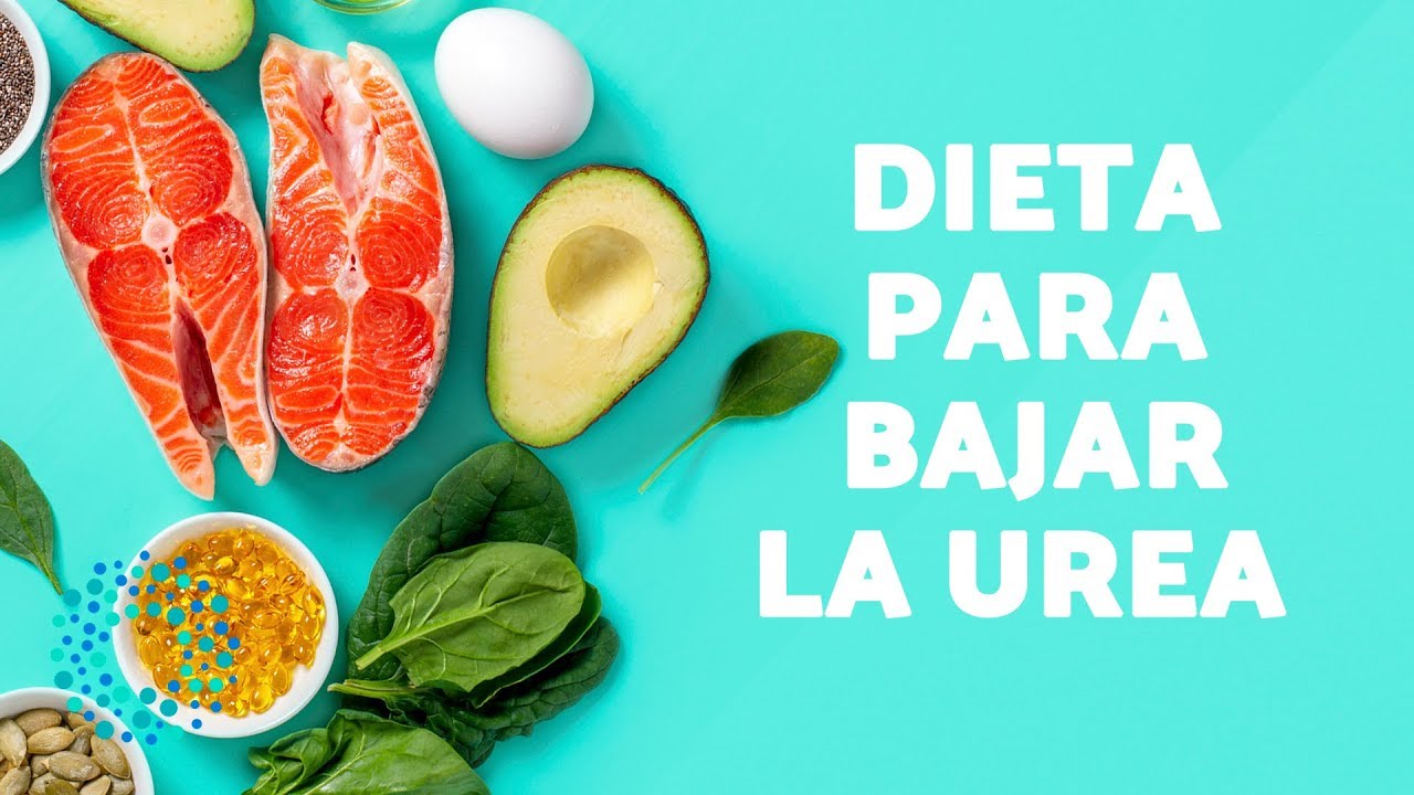 UREA ALTA en SANGRE - DIETA para bajar la UREA ALTA en SANGRE