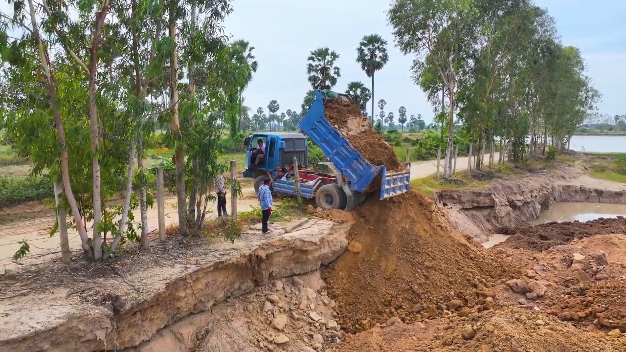Satisfying Heavy Equipment Action: Dump Truck & Mini Bulldozer Filling a Pond