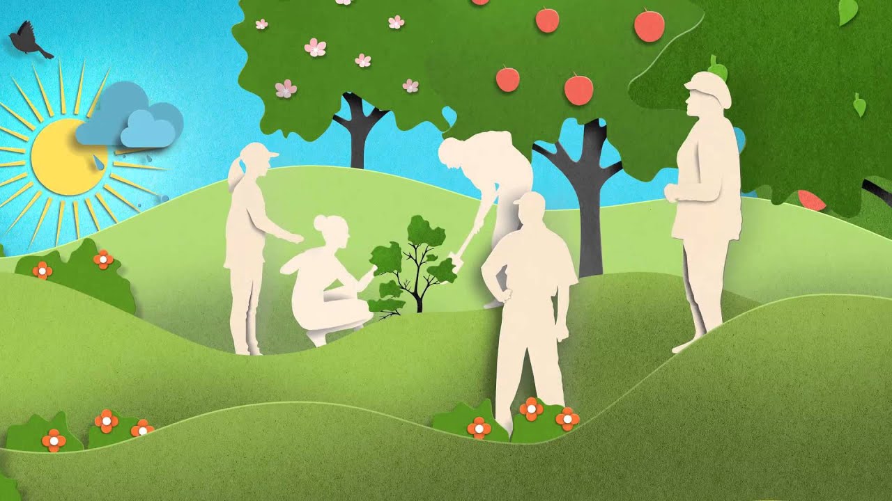 Pink Lady®, la manzana que cultiva sus valores