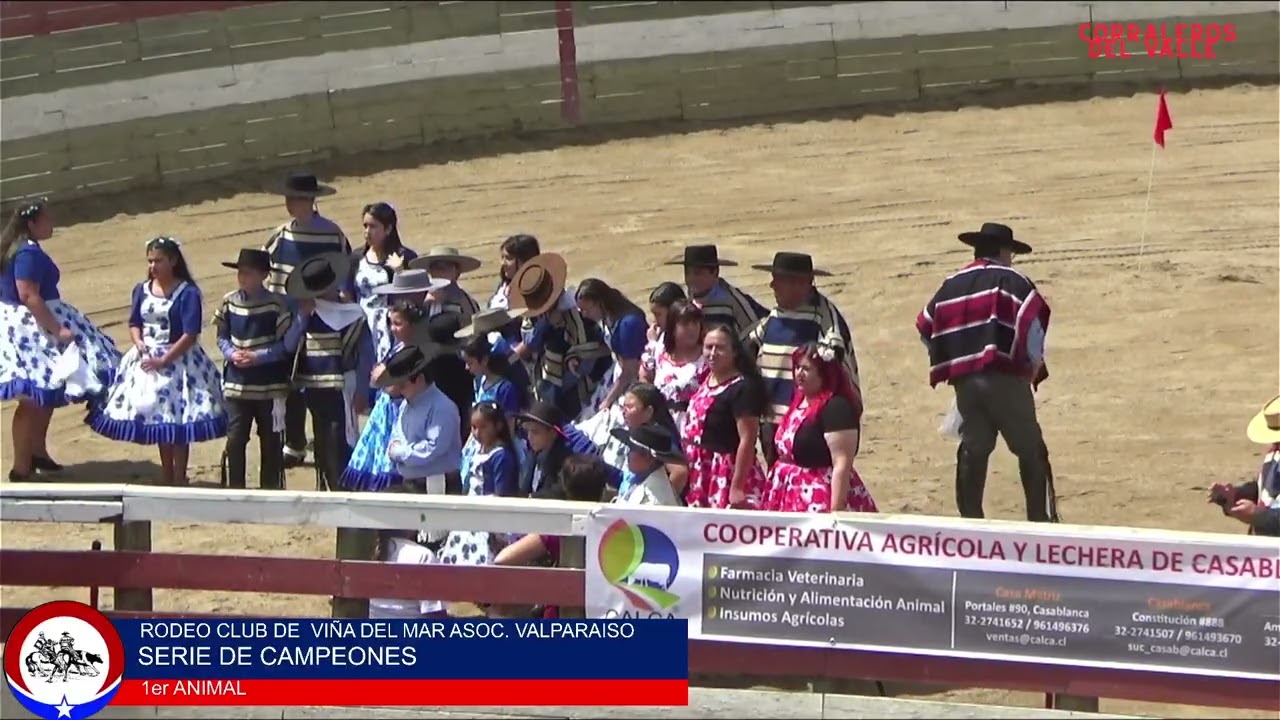 SERIE DE CAMPEONES RODEO CLUB VIÑA DEL MAR ASOC.VALPARAISO 1Y2 ANIMAL