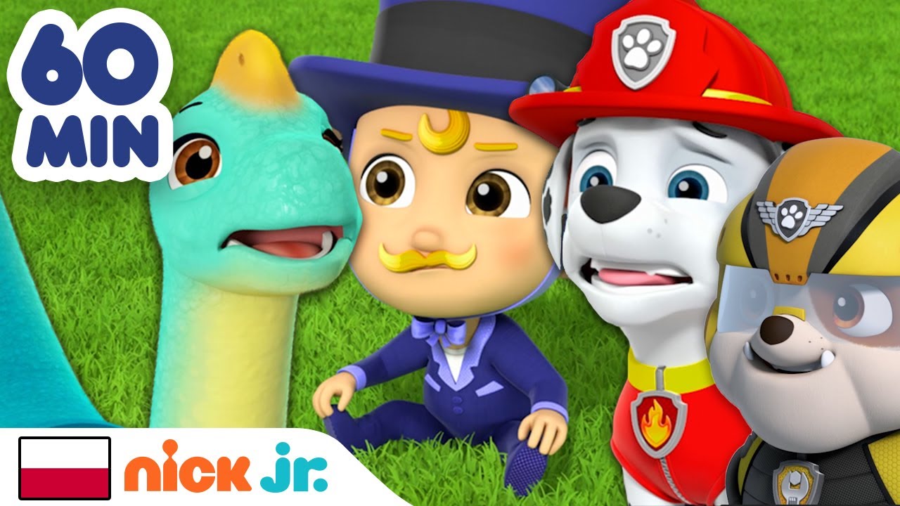 Psi Patrol | Godzina akcji ratunkowych z udziałem przesłodkich maluszków! | Nick Jr.