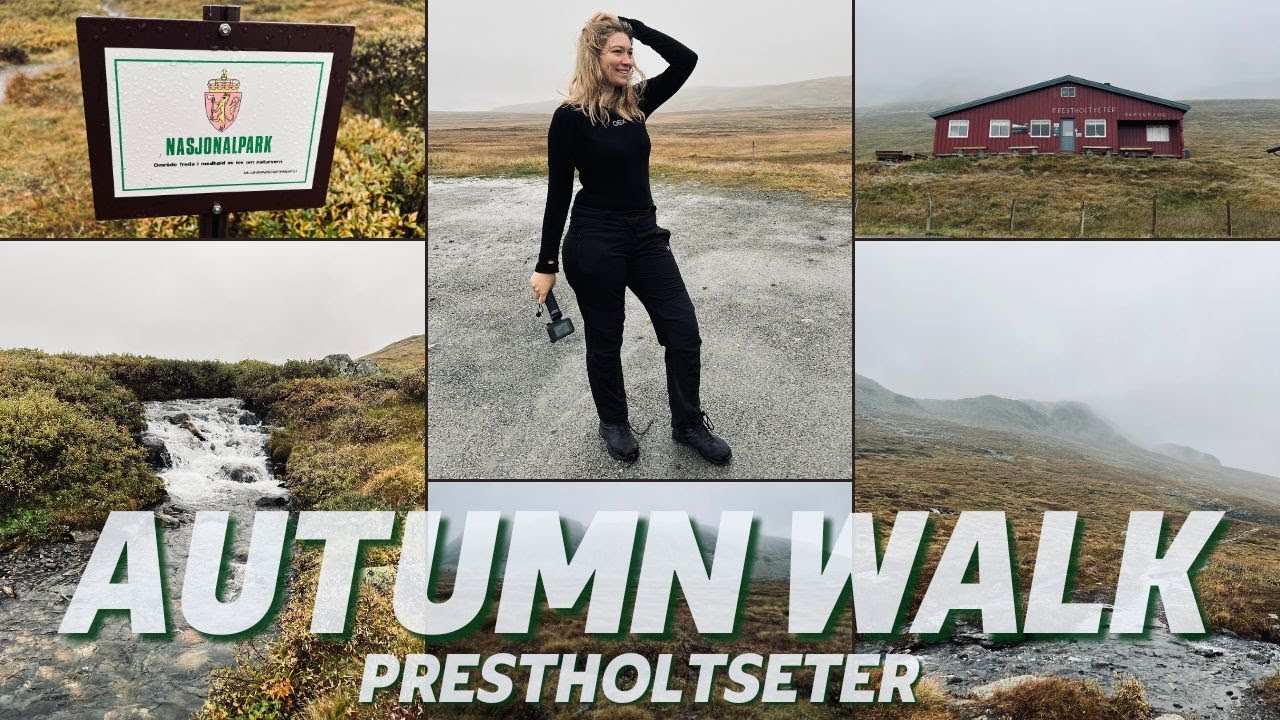 Prestholtseter Adventure: Easy 9.33km Circular Walk Among Hallingskarvet's Scenic Beauty, Norway