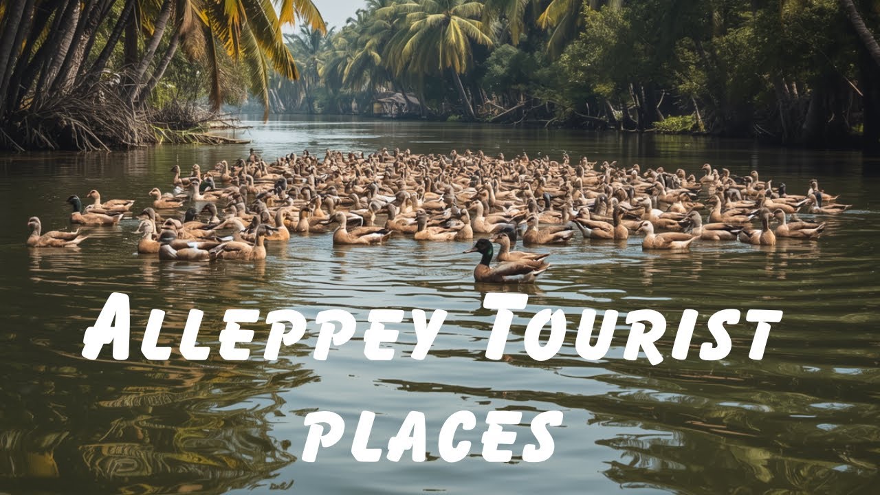 Alleppey Tourist Places | Alleppey House Boat | Kerala Tour