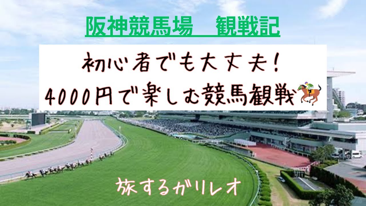 【競馬観戦記】リニューアル阪神競馬場がすごい！競馬初心者必見、極上の楽しみ方がここに！