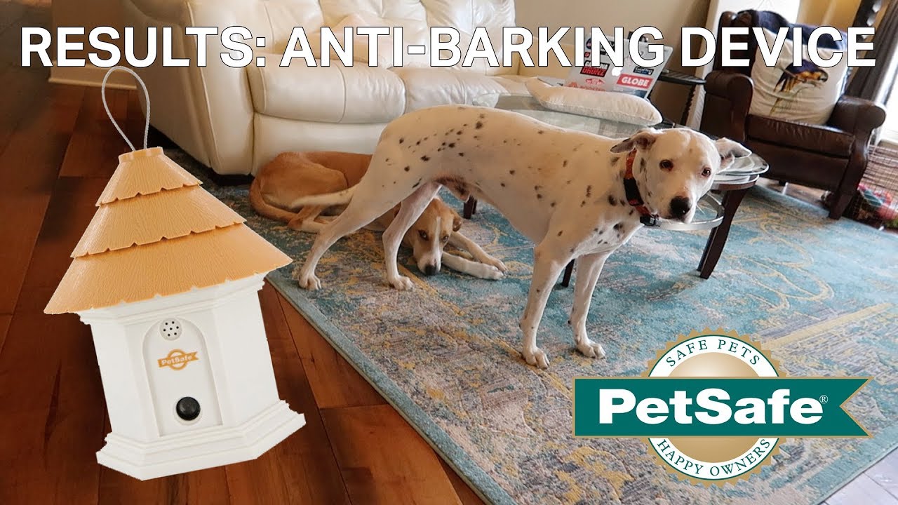 Anti-Dog Barking Device Results | Petsafe Elite Outdoor Bark Control Device