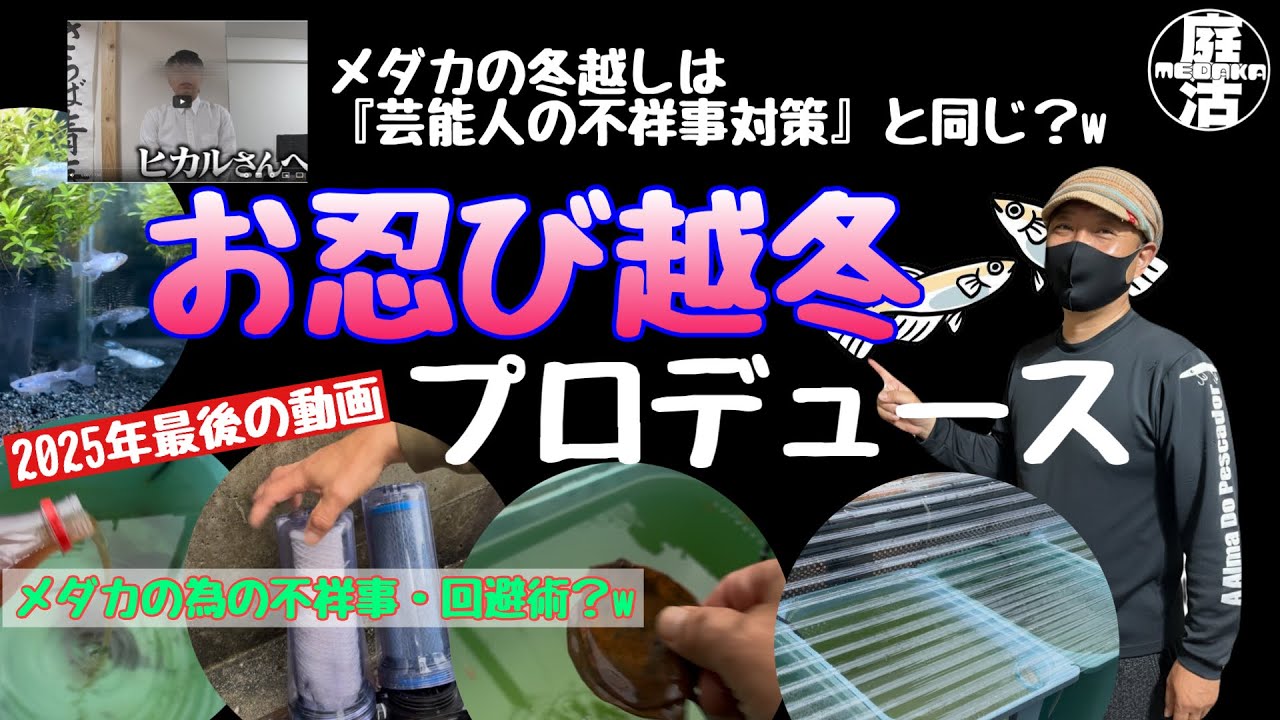 メダカの冬越しは『不祥事芸能人』と同じ？庭活流・お忍び越冬術！