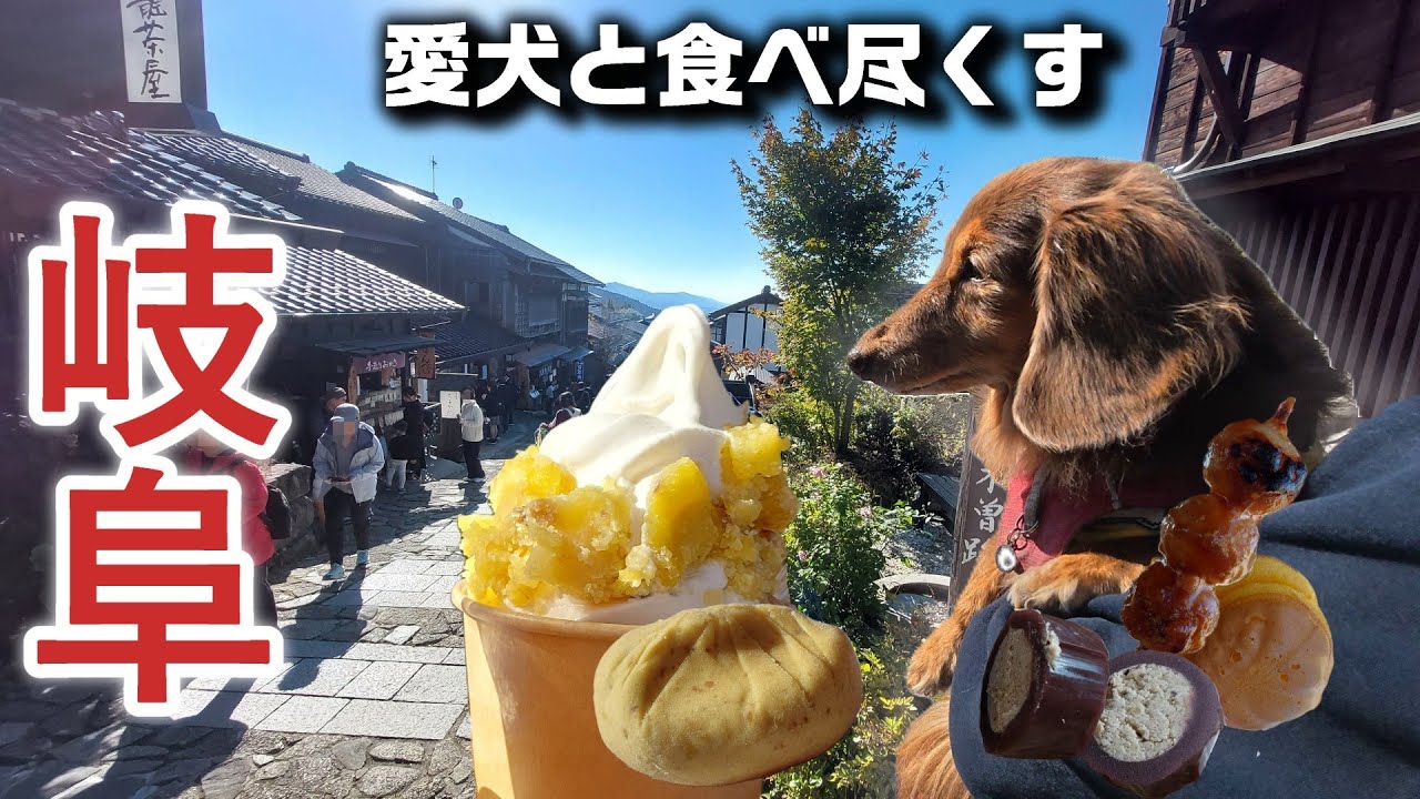 【犬連れOK】愛犬とレトロな街並みで食べ歩き/栗きんとん五平餅は必食/馬籠宿を徹底散策の旅