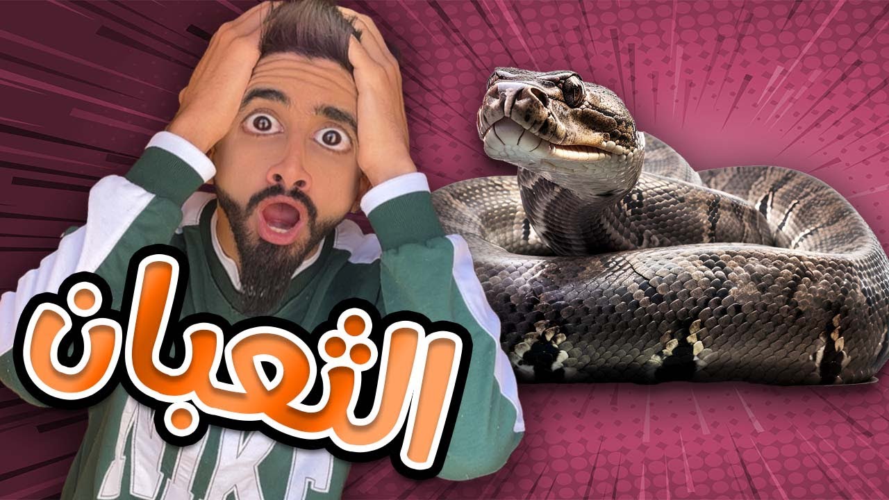 الثعبان 🐍 في المنزل كعوان و اسلام 🤣😂