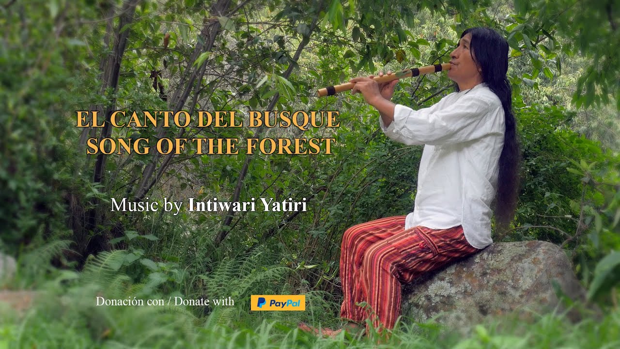 El CANTO DEL BOSQUE / SONG OF THE FOREST HD