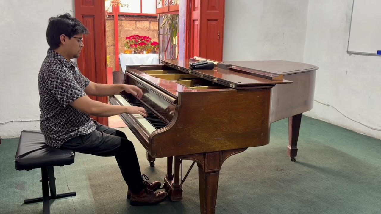J. Haydn - Piano sonata in B minor, H.XVI No.32