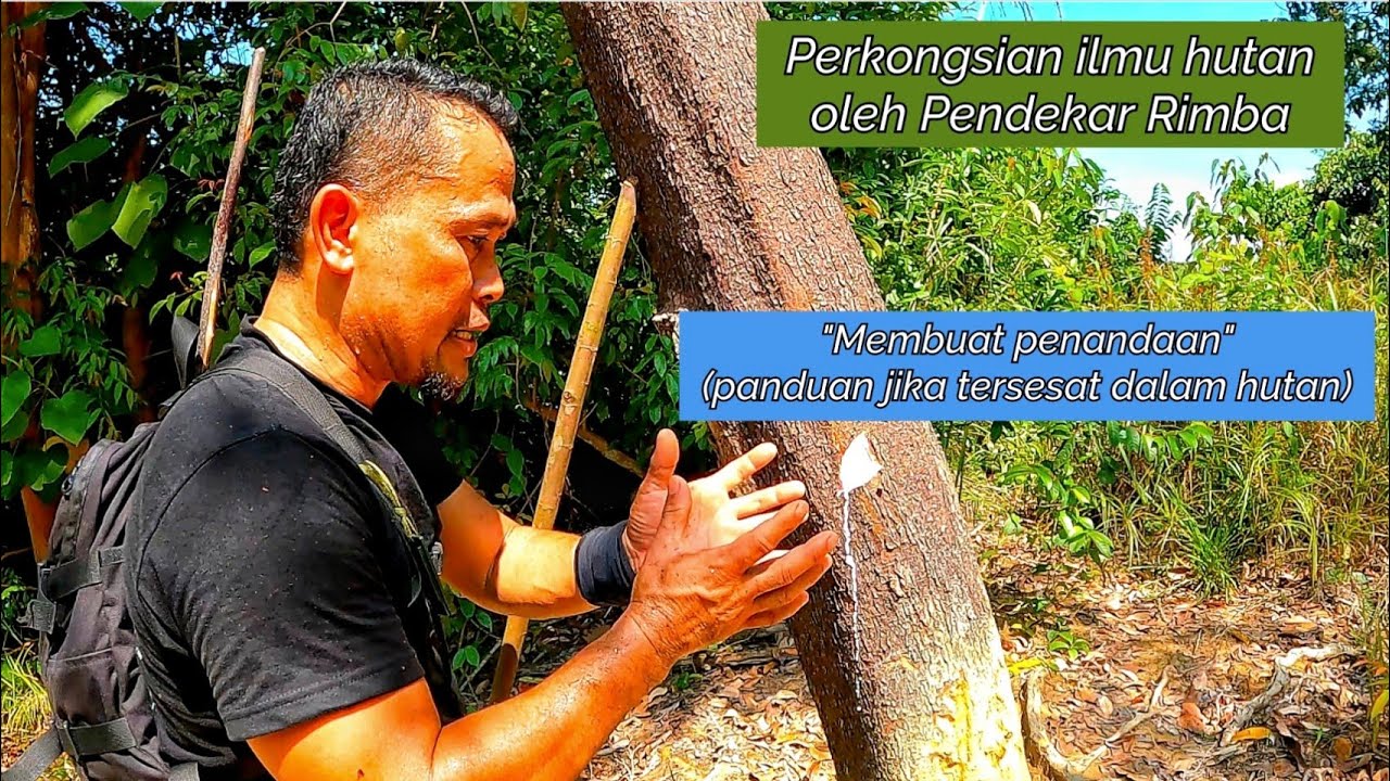 Explore hutan bersama Pendekar Rimba.