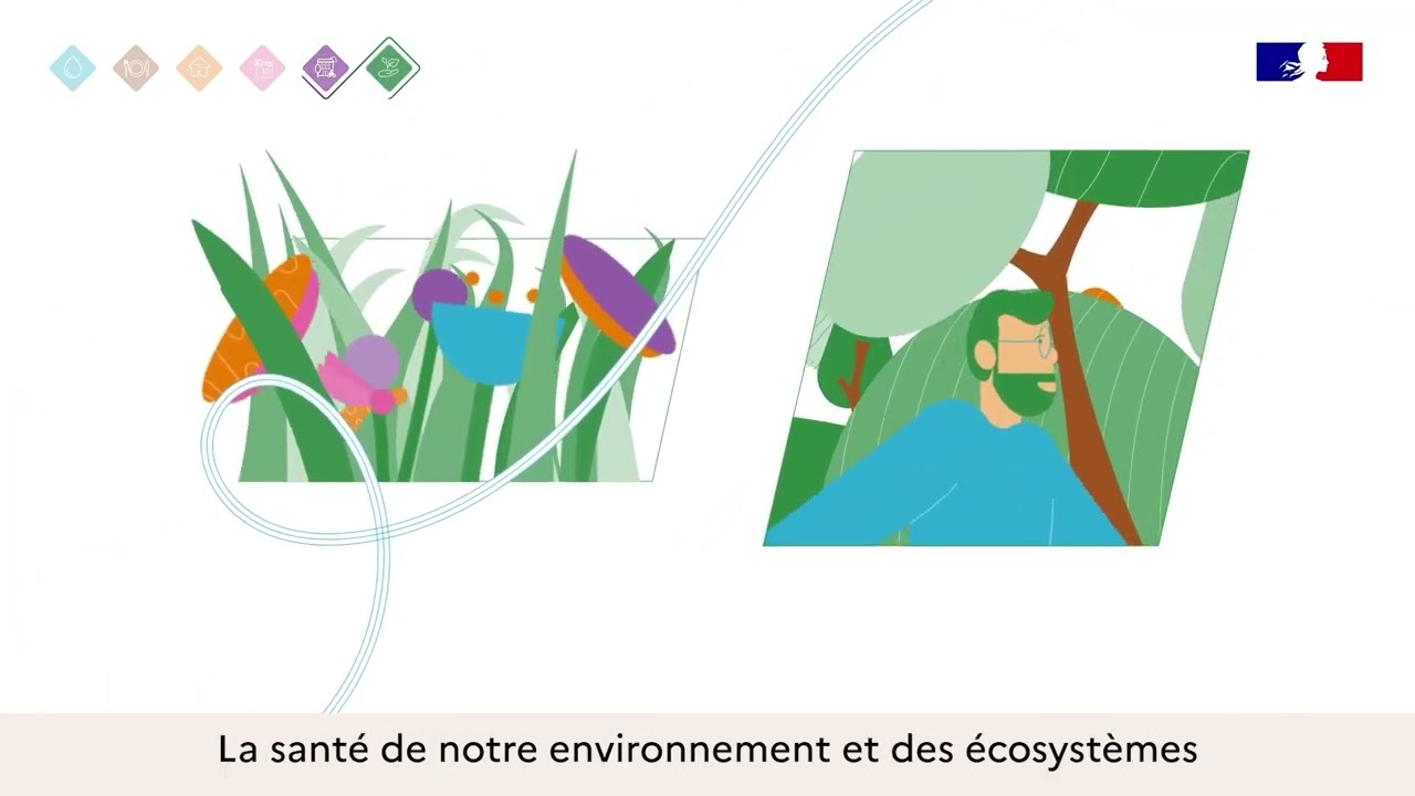 Sant&eacute; environnementale : les enjeux du PRSE4 en Pays de la Loire