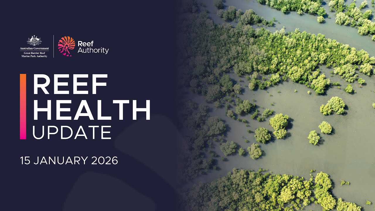 Reef health update | 15 January 2026