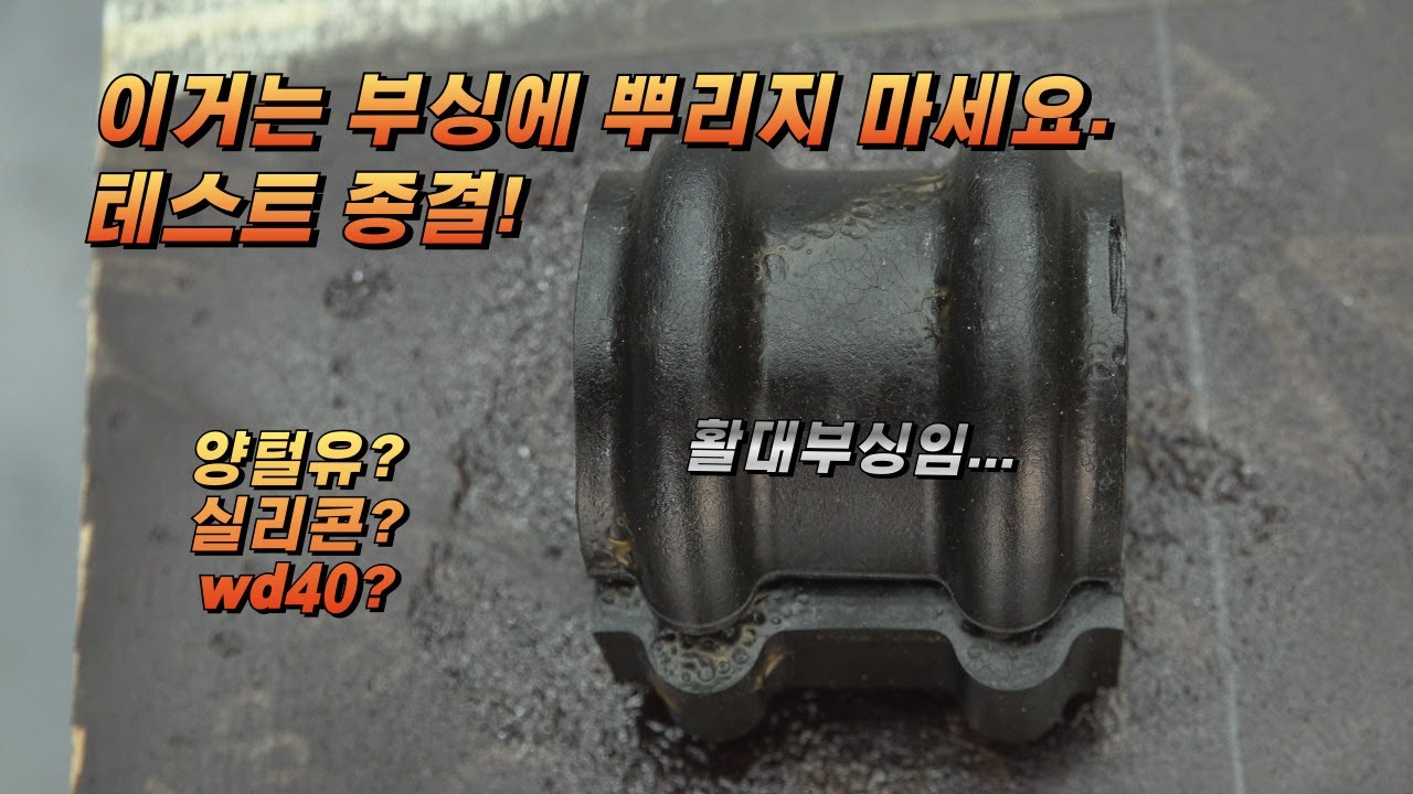 [다이마스터#591] 양털유 테스트 종결! 과연 추천할만한가?