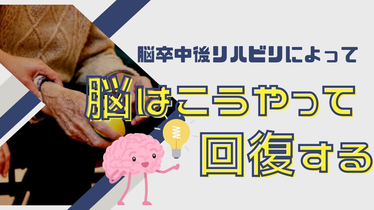 【脳卒中回復のメカニズム】運動麻痺が改善する時における脳の変化を解説！