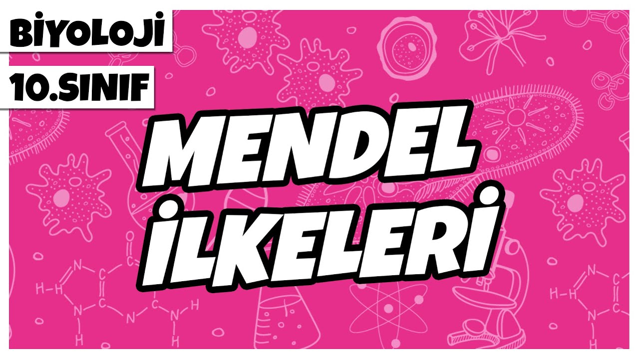 10. Sınıf Biyoloji - Mendel İlkeleri | 2022