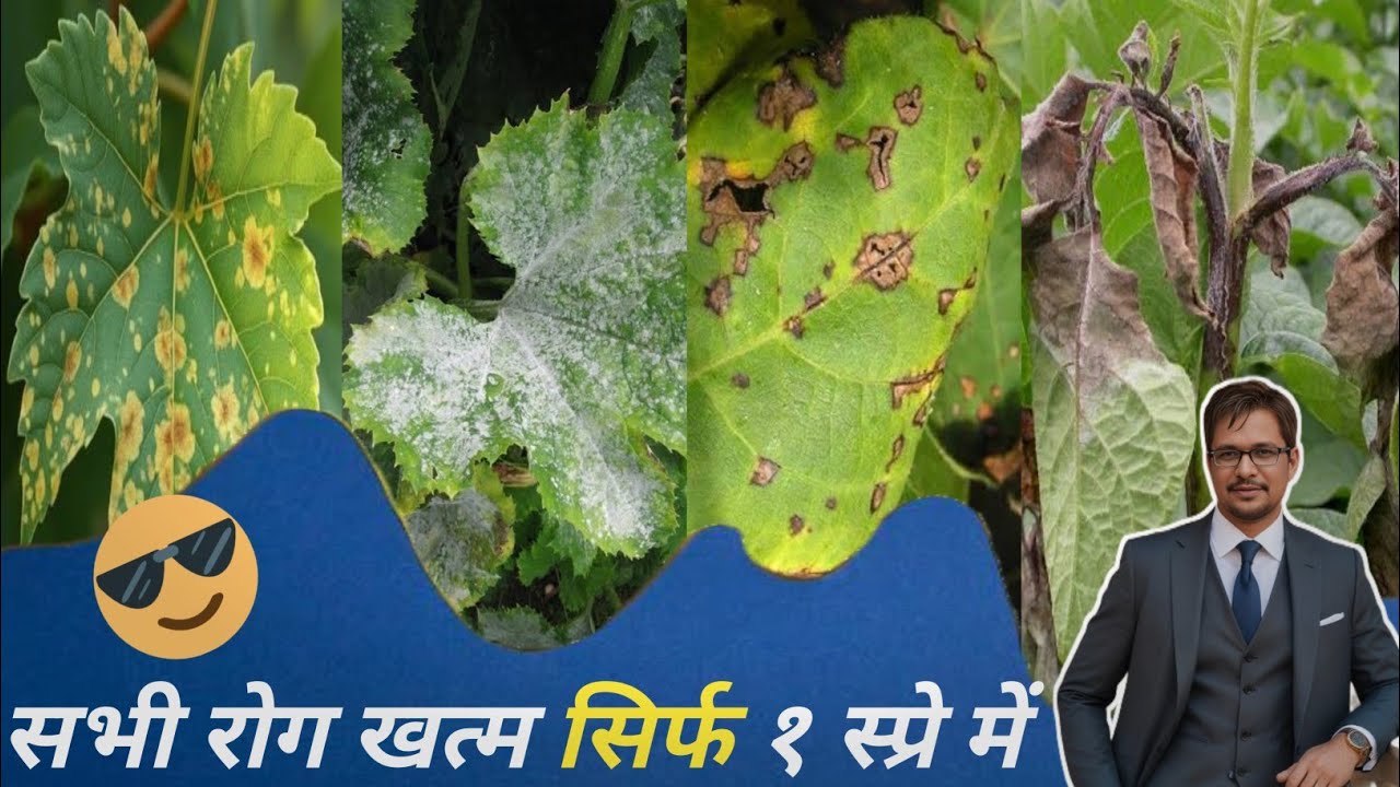 सभी रोग खत्म एक ही कॅाम्बिनेशन में ।pesticide combination 