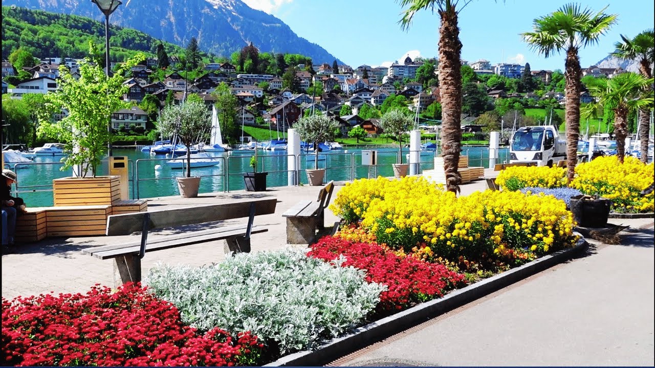 spiez walking tour 🇨🇭-this town looks like a dream you've never heard of || Dreamy Walk by the Lake
