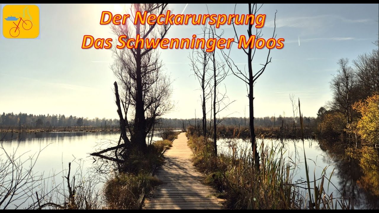 Neckarursprung - Das Schwenninger Moos