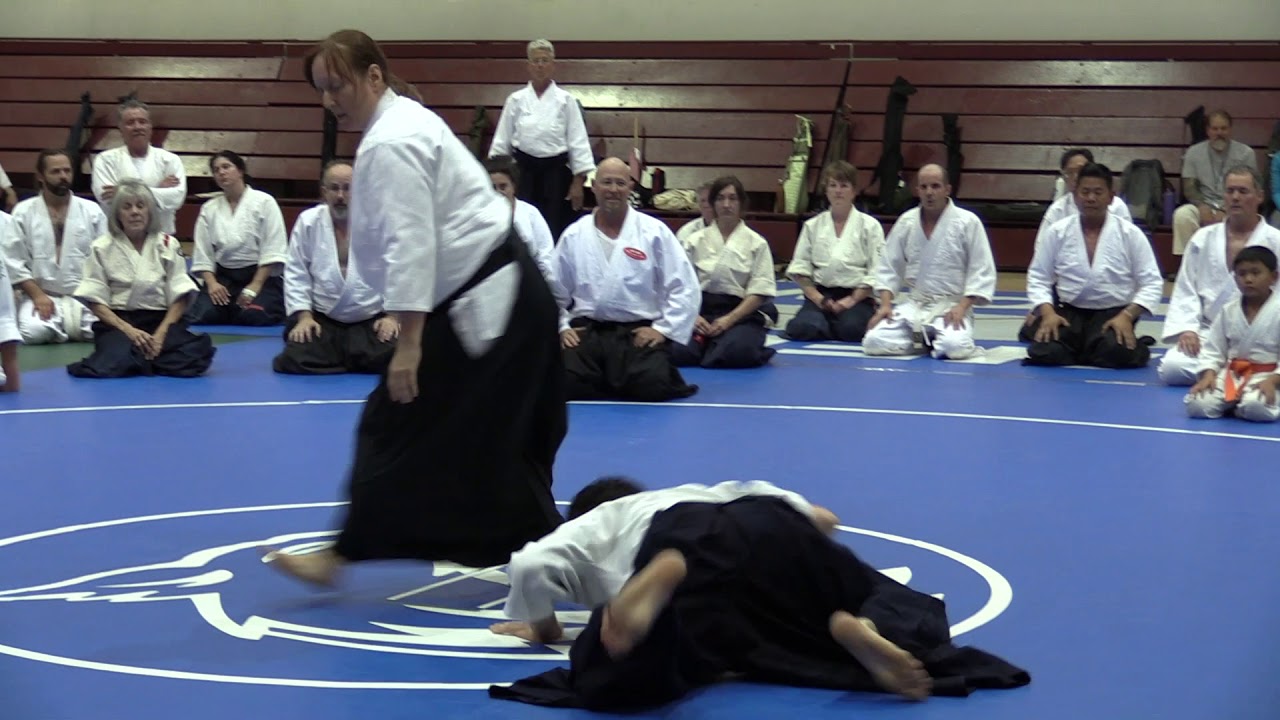Birankai Aikido Summer Camp 2018 -  L. Klein