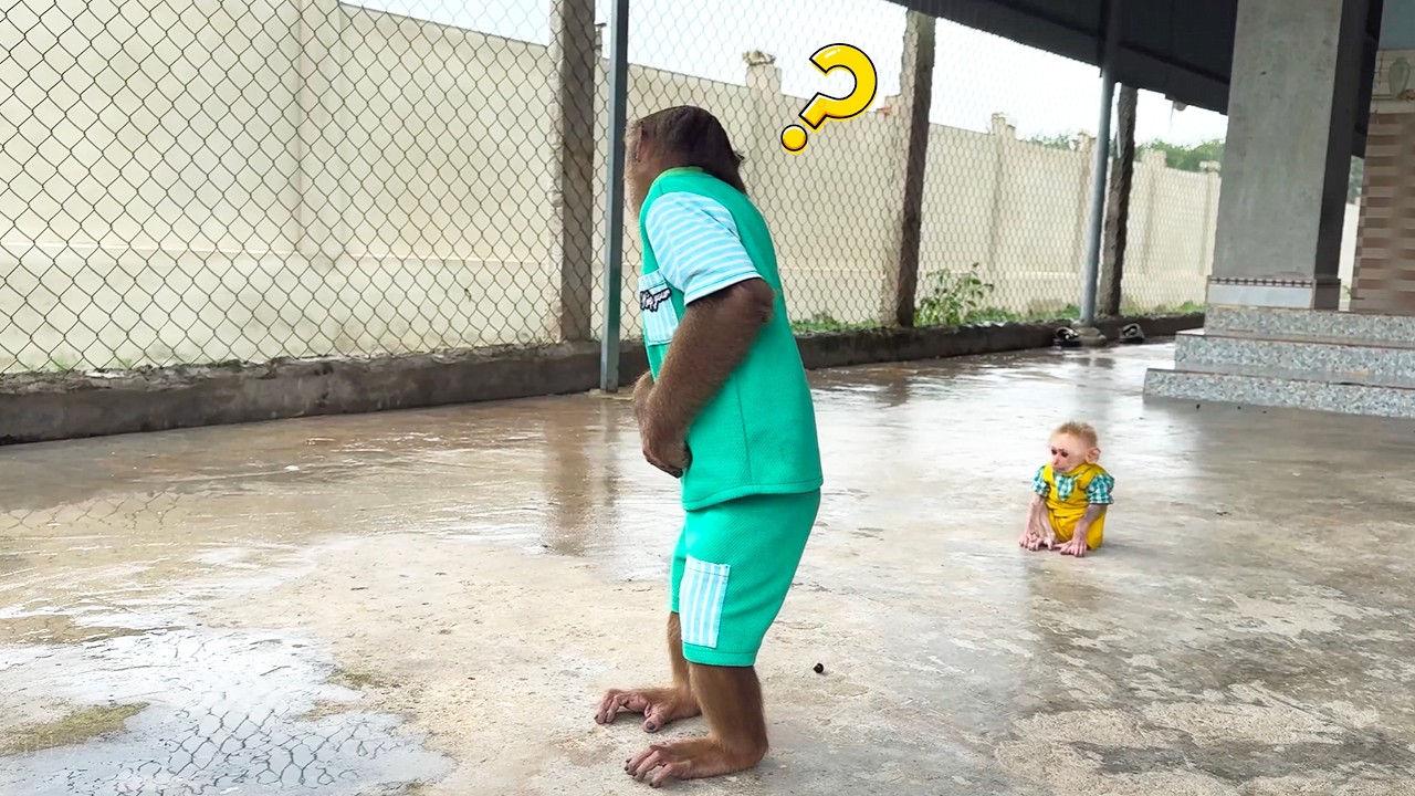 Busted! Buem Stops CUTIS Running Into the Rain in the most way