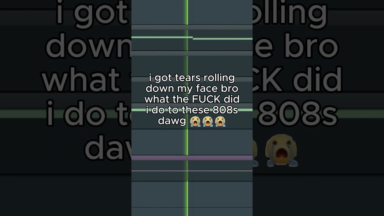my 808s screaming for help bro 😭 #808s #808 #bass #brainrot #brainrotmeme #musicproducer