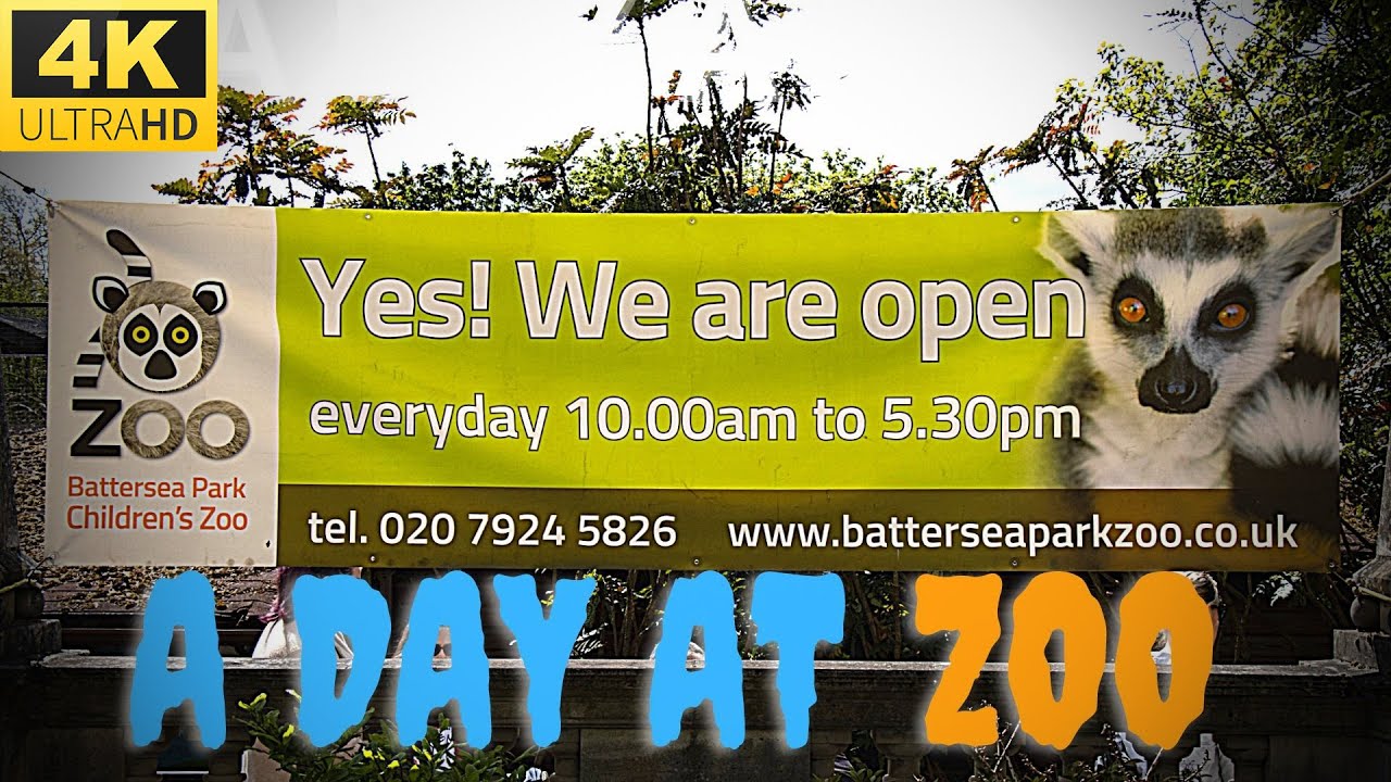 ⁴ᴷ⁶⁰ LONDON ZOO Battersea Park Walking Tour | England