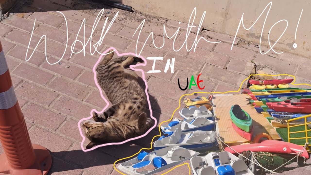 Take a walk with me in Ras Al Khaimah , UAE . Nungsha na phubagi kathek A 😼