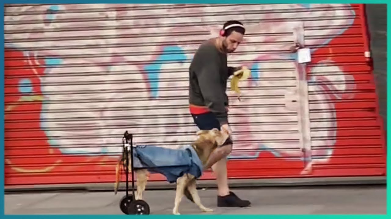 Random Acts of Kindness | Faith in Humanity Restored